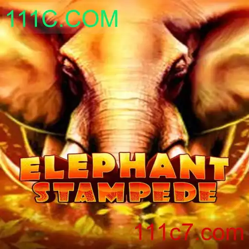 Descubra o Mundo Aventuroso de ElephantStampede